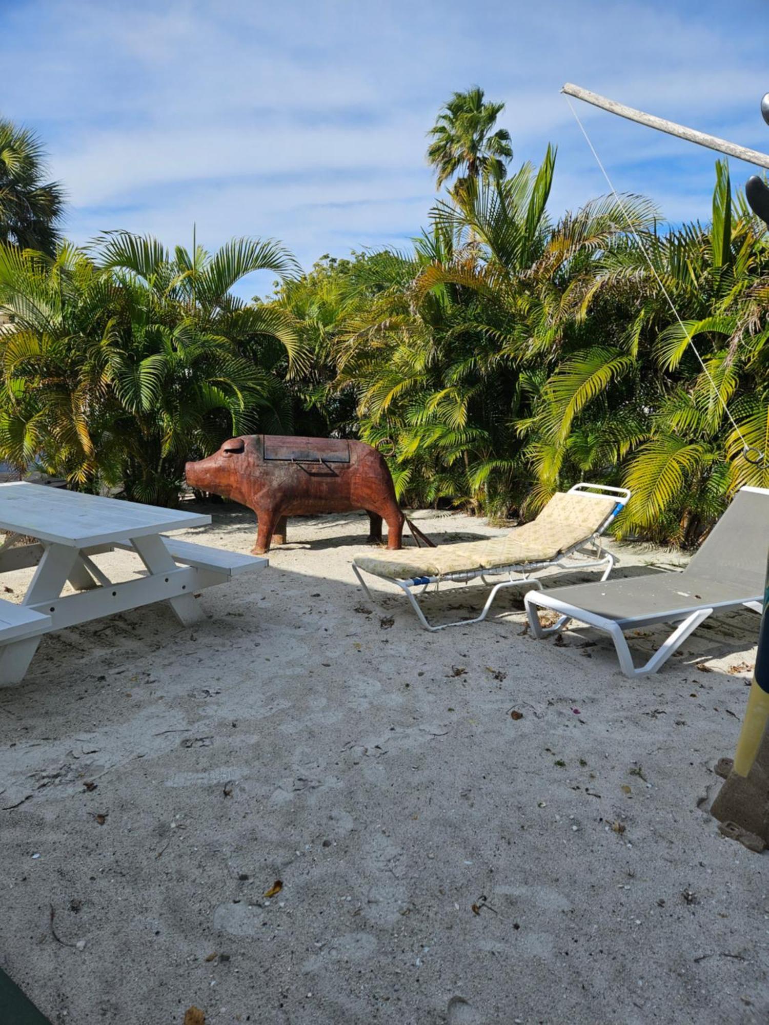 Oasis Palms Resort St. Pete Beach Exteriör bild